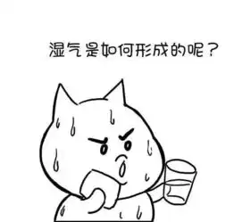 湿气是怎样形成的,一图秒懂漫画版