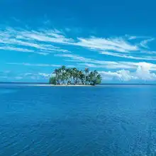ipad植物高清壁纸10165882iphone4s壁纸iphone4壁纸ipad2壁纸免费下载