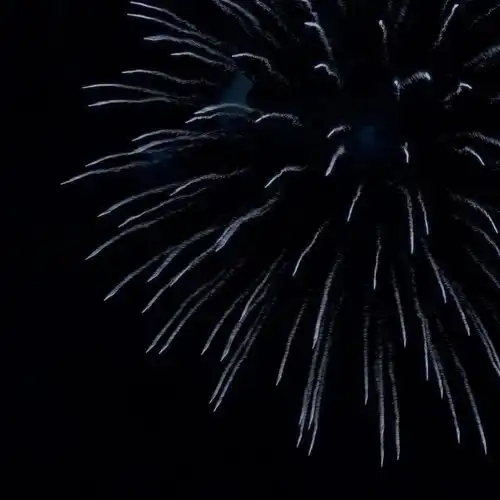 步履不停