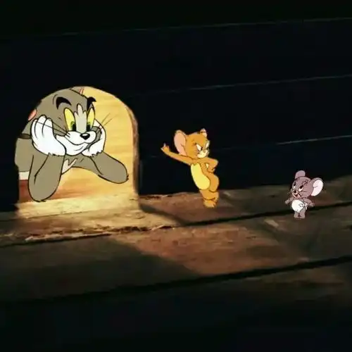 头像猫和老鼠系列