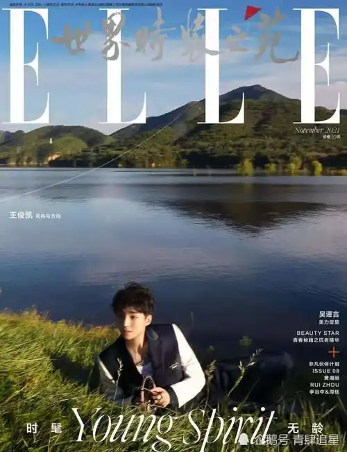 王俊凯elle11月刊封面内页王俊凯elle