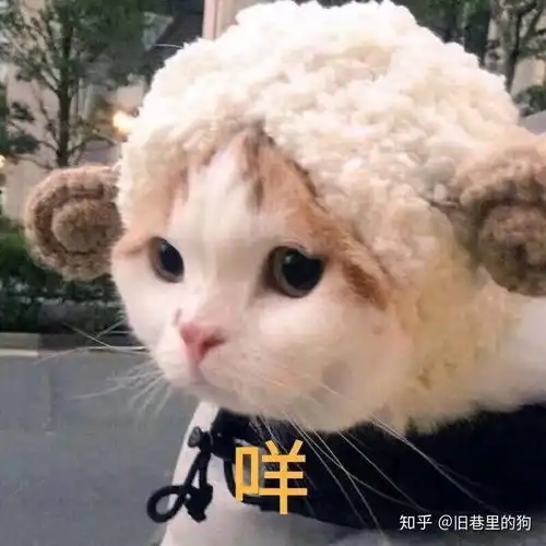 2020毕业生工程管理专业选择进国企施工单位还是碧桂园乙方施工单位好