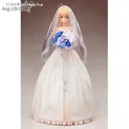 吾王嫁我typemoon10周年纪念版婚纱saber开始预约