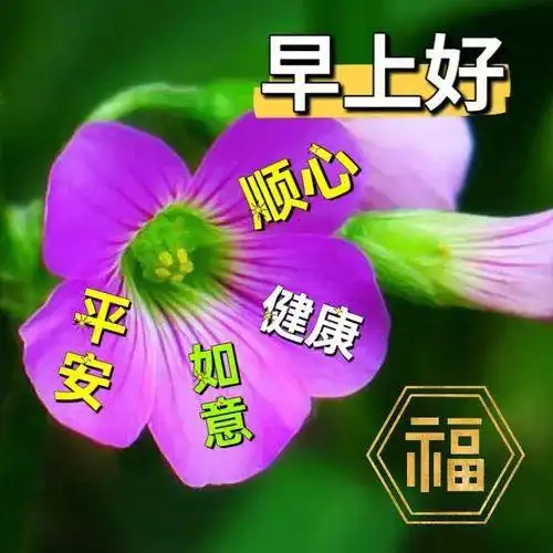 今日最新早安祝福图片大全,无限祝福,吉祥如意