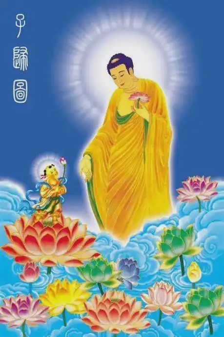 为什么要念阿弥陀佛愿所有人都能看到这段开示
