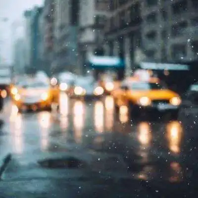 亚美am8客户端ag发财网放心