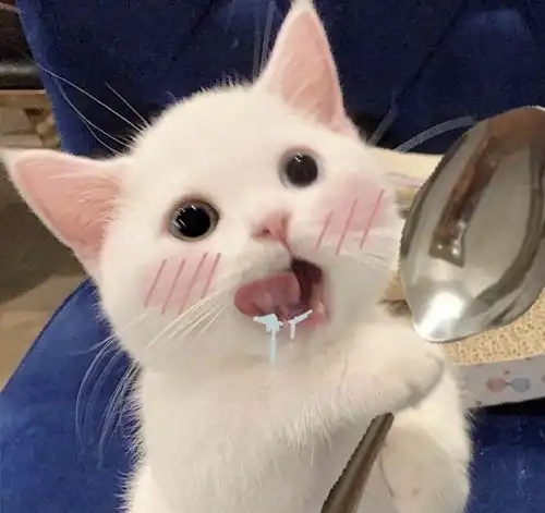 有没有一些憨憨而又不失可爱的头像嘛