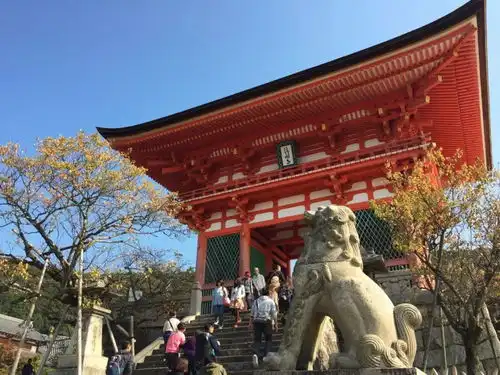 日本究竟有什么魅力,让我们一再探索