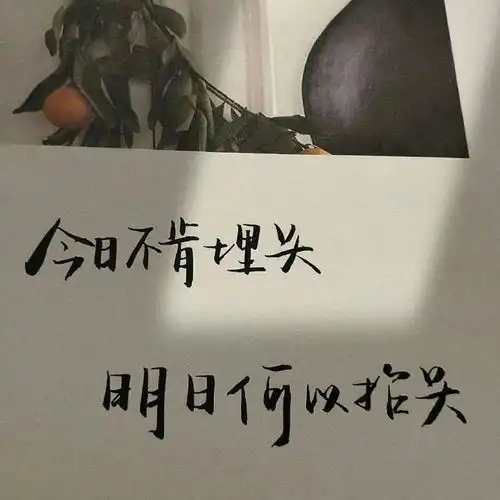 背景图和文案