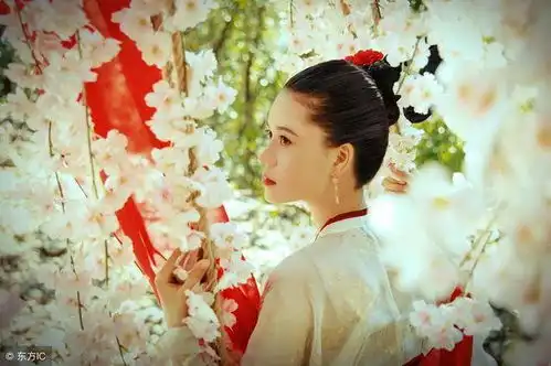小说独当一面的大师姐,因一场意外变成萌妹,被师兄们轮番宠爱