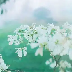 有时候不经意的回忆,心还是会很疼