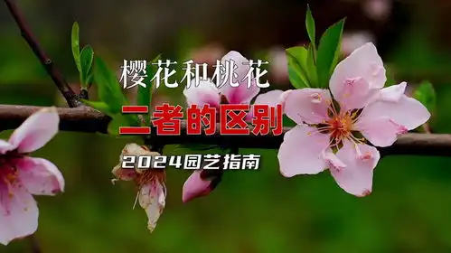 花中佳人,如何分辨樱花vs桃花的辨识技巧