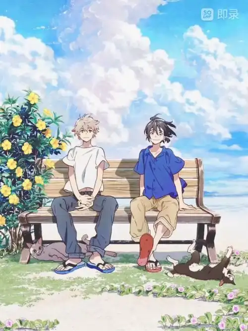 我是喜欢女孩子的,可即便如此,我还是喜欢上了你海边的异邦人