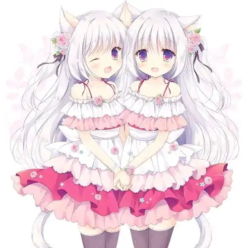 动漫美图壁纸猫娘画集兽娘赛高