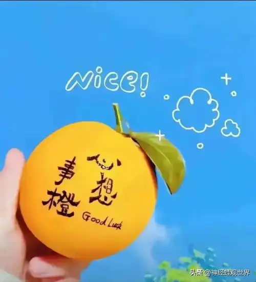 神经蛙观世界的头条主页今日头条