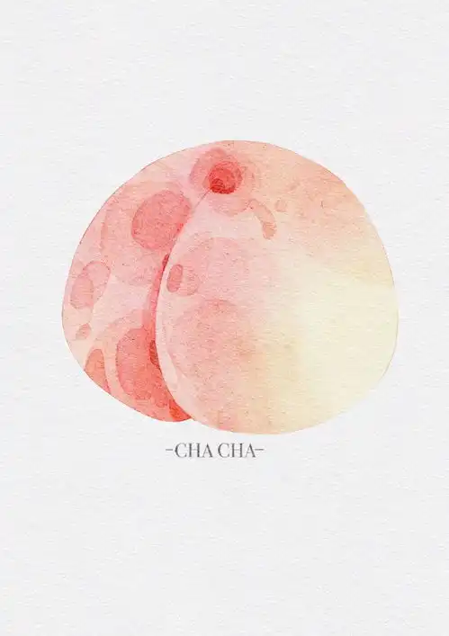 procreate水彩桃子1chacha恰恰呀来自小红书网页版手绘水果蔬菜