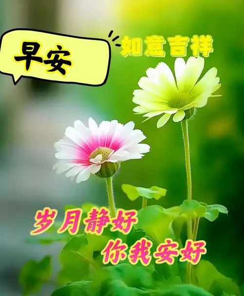 6月17日漂亮的早安图片,珍惜此刻,活在当下,让幸福的阳光,洒满每一个平凡的日子好运幸福快乐早上好早安清晨手机网易网
