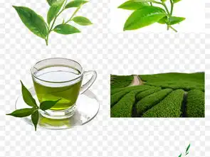 茶叶绿茶背景图片茶道铁观音茶园茶具免抠图素材模板下载81.00mb食物饮品大全生活工作