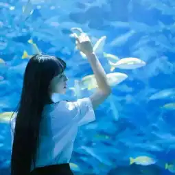 蓝色系女生头像