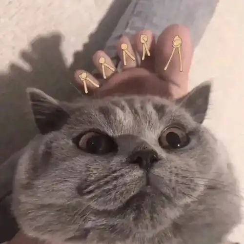 一批超甜情侣头像