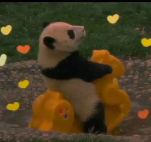 有没有推荐妈妈用的头像不要太老气就是那种花的什么什么的都不要谢谢喽