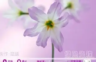 打字练习flash动画教学课件打字练习教学素材v1.0正式版软件下载