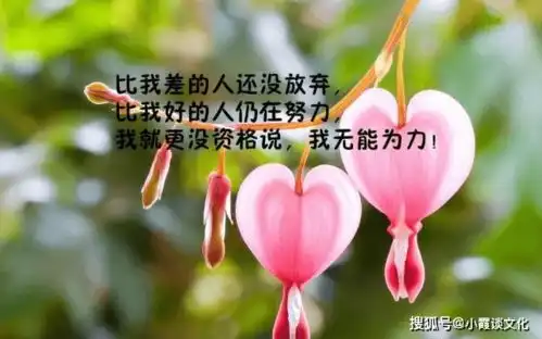 智慧女人必备文案,优雅大气,一见倾心