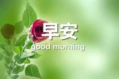 佛家用的早安吉祥图片
