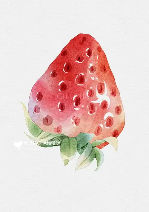 procreate水彩草莓临摹练习1chacha恰恰呀来自小红书网页版手绘水果蔬菜