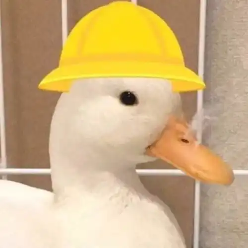 每次进理发店都是一场赌博,而我们从来都没赢过