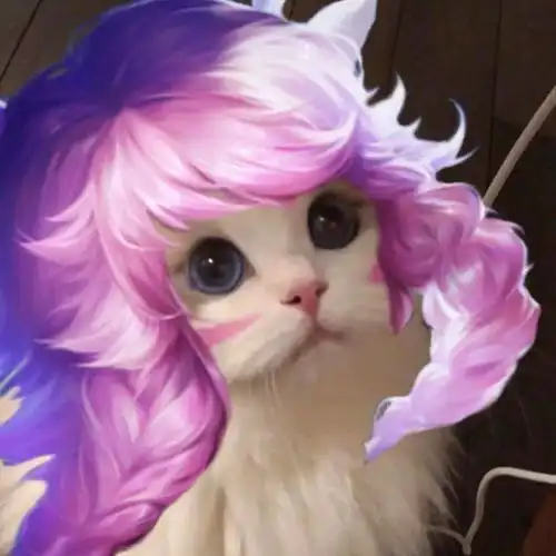 王者荣耀猫头第5期玄策帅气猫咪接头头像,大闹一场吧上分时间到