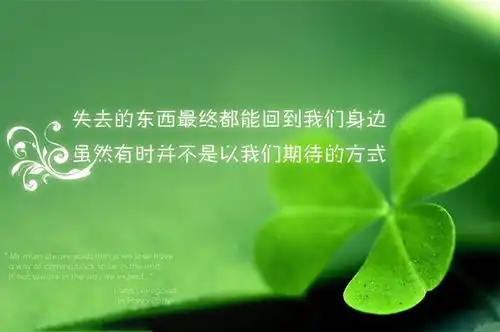 选择适合自己的投资操作方法