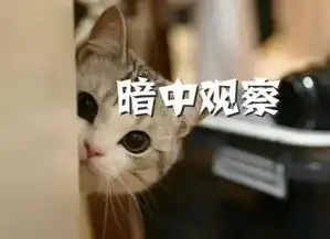 恋爱时送的房车红包等能要回来吗漫画普法