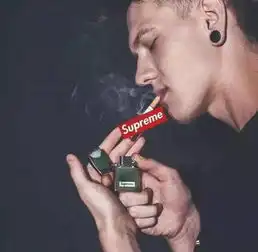 拒绝supremelv大概只有我觉得丑