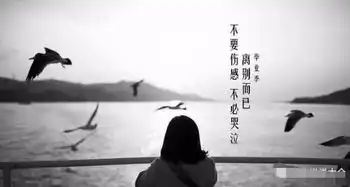 一句会让人在深夜里默默流泪的伤感句子