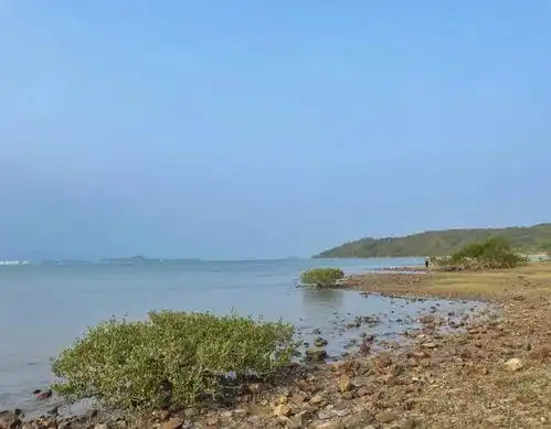 能赶海,还有美丽的海景,深圳的低调海岛,还真没多少人知道