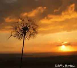 61岁老头竟然搞大22岁姑娘的肚子,情何以堪啊
