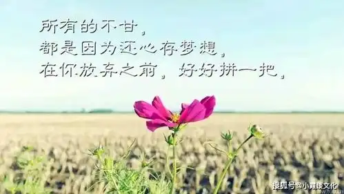充满智慧的哲理文案,简短温馨,句句震撼心灵