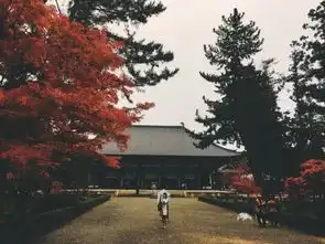 通往唐招提寺之路