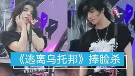 华晨宇花花小华黑煤球