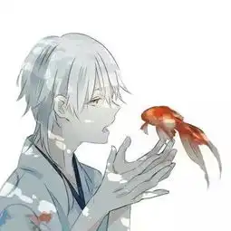 头像往事随风