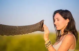 南非摄影师与动物上演真实版美女与野兽